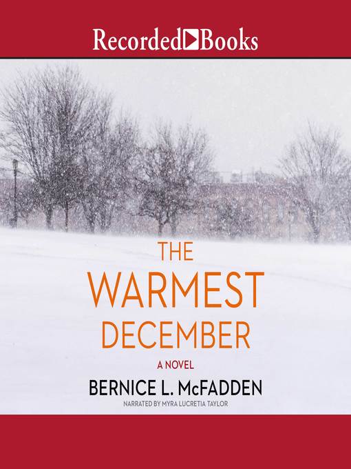 Title details for The Warmest December by Bernice L. McFadden - Available